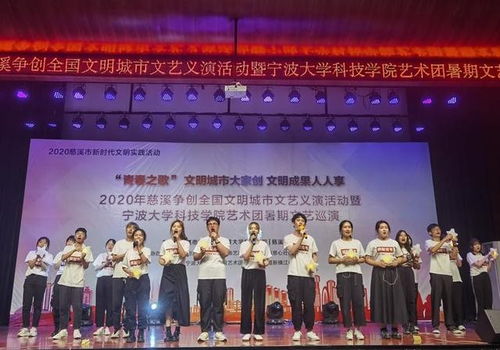 宁大科院文艺下乡20年 用艺术点亮乡村，温暖10万观众的心